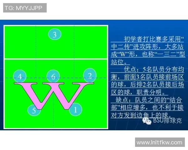 深圳排球队的战术解析与控制能力深度剖析 深圳排球队的战术解析与控制能力深度剖析